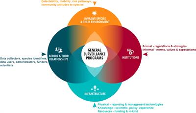Systems thinking for general surveillance programs – using leverage points to guide program management